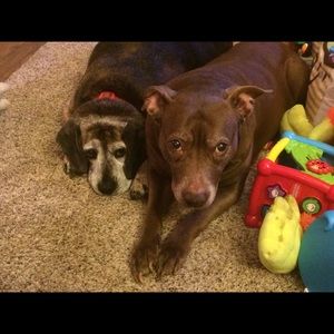 Meet your Posher, Chelsie